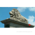 white marble African lion statue